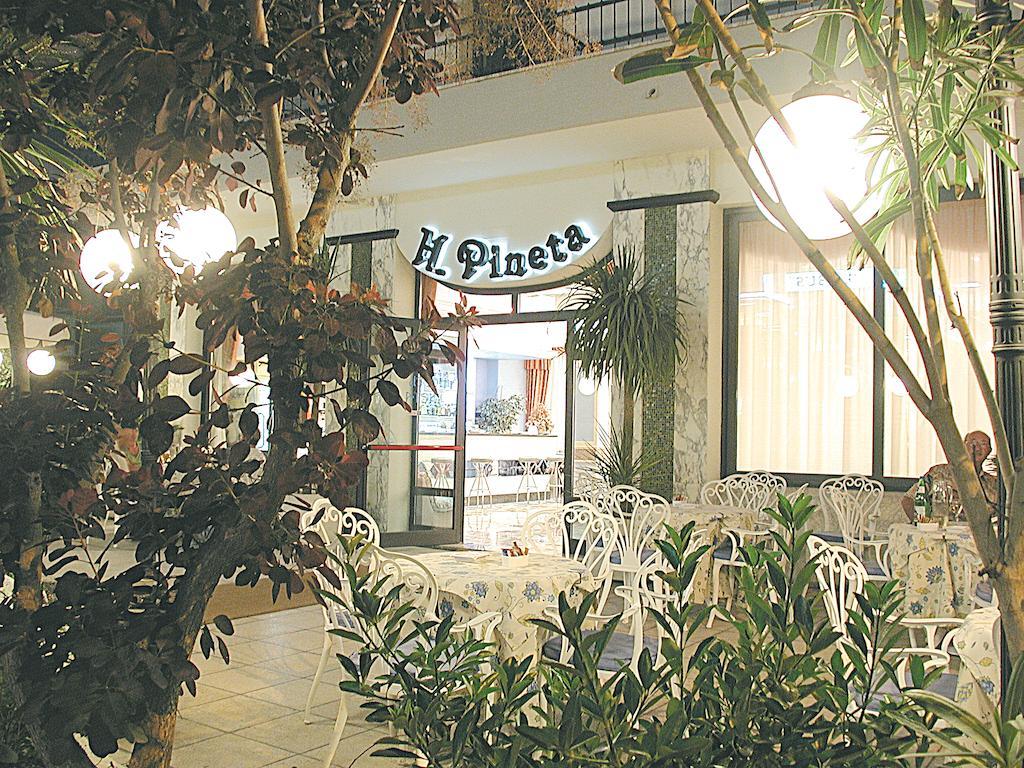 Hotel Pineta Bellaria-Igea Marina Exteriér fotografie